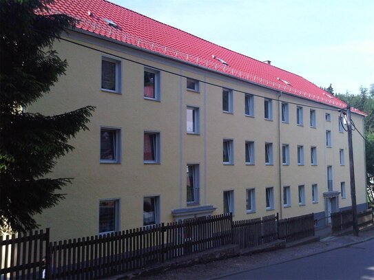 3- Raum Wohnung mit Balkon zu vermieten!