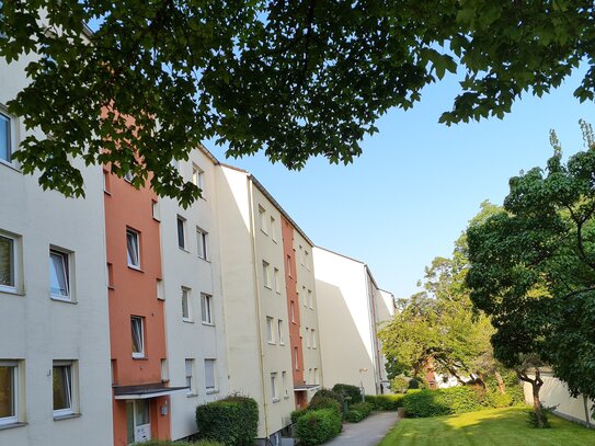 Wohnen im Grünen und ganz oben mit Fernblick