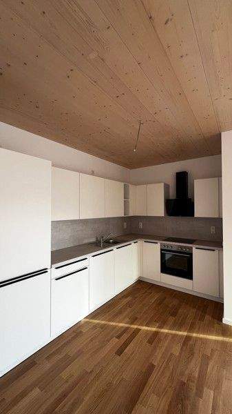 Mehrere Erstbezüge - im skandinavischen Stil - Photo 1