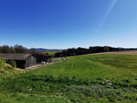 Kirchberg i. Wald: 693 m2 Baugrundstück mit genehm. Vorbescheid für Wohnhaus - herrl. Aussichtslage