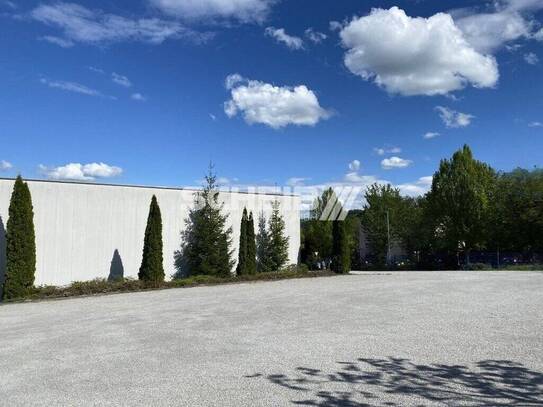 Geschotterte Freifläche: 1000 m²
