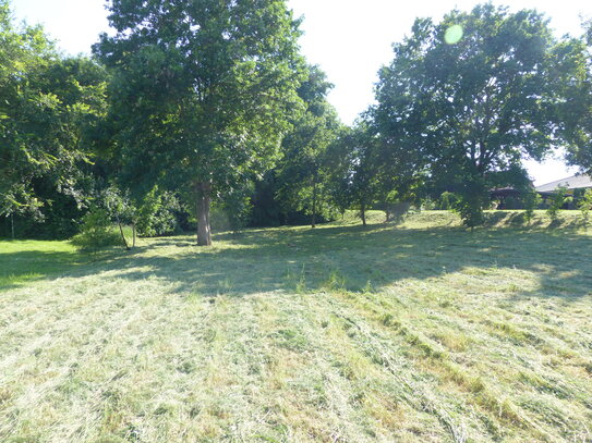 grosses Baugrundstück am Schlosspark