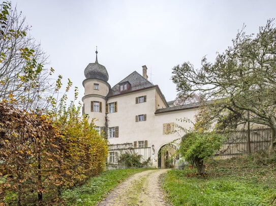 Herrschaftliches Schloss mit Freiflächen