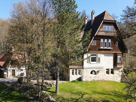 Wohnen und Leben mit Stil... Traumdomizil für Naturgenießer im Herzen des Donautals