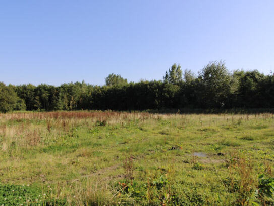 Baugrundstück mit Südausrichtung in Butjadingen-Eckwarden