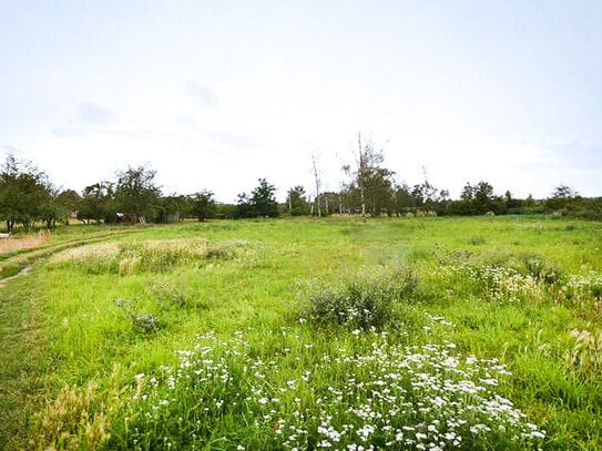 Bauherr gesucht! 18.000m² großes Baugrundstück in Hausneindorf...