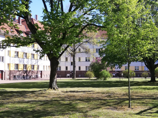 Schöne 2-Zimmerwohnung in Stöcken