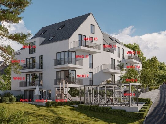 1 Zi. Apartment im Gartengeschoss mit Terrasse in HHL Tübingen