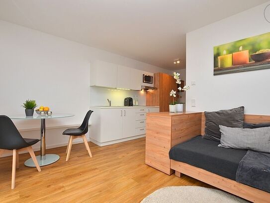 Modern möbliertes 1-Zimmer Apartment in Schweinfurt/Euerbach mit Wlan+Terrasse