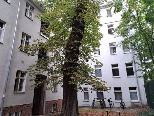 Großzügige Stadtwohnung -bezugsfei!