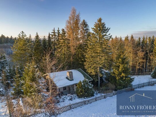 Naturparadies in Schnarrtanne - Ihr Gartenhaus am Waldrand & Badesee! + Kaminofen & Fußbodenheizung