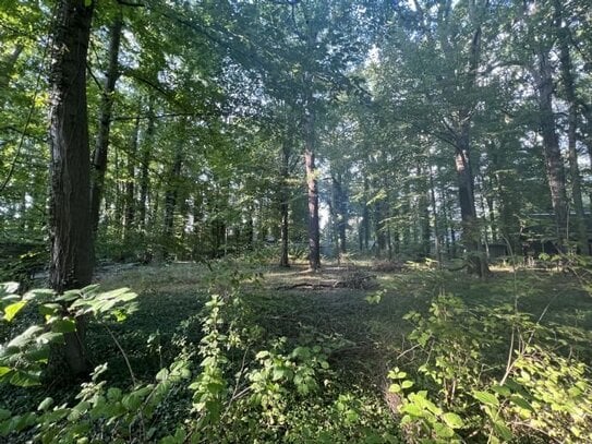 Waldsteinberg - Attraktives Grundstück mit erteilter Baugenehmigung