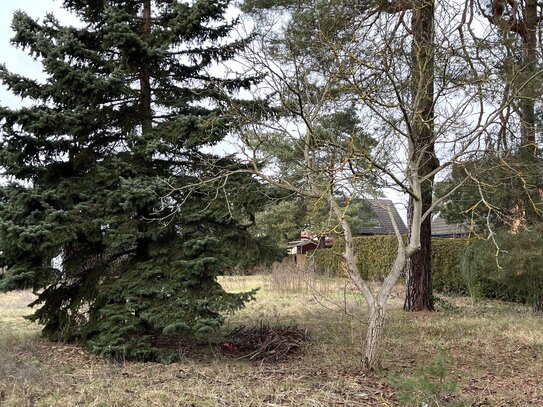 Traumgrundstück für Ihr Einfamilienhaus in Mahlsdorf-Süd