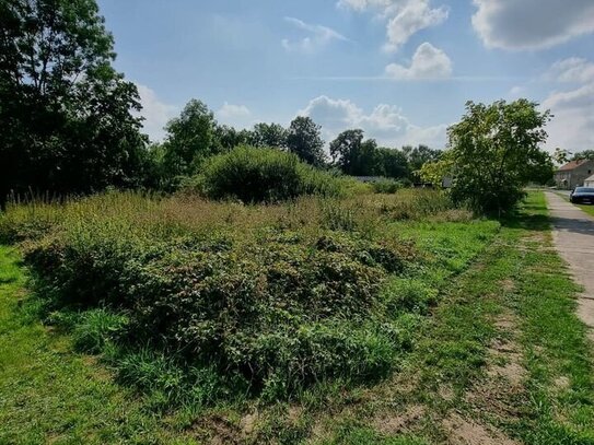 Einladende Grundstücke in ländlicher Region in Brandenburg