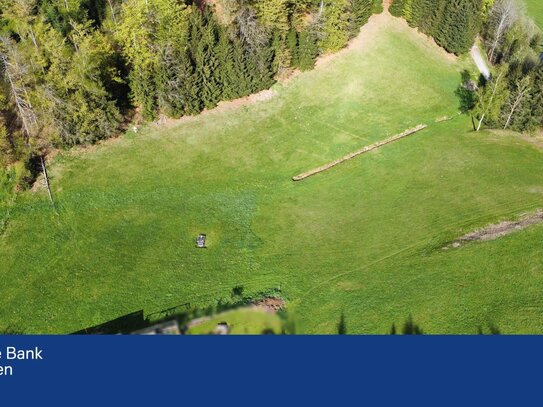 *Natur pur!* Ca. 1,7 ha Freizeitgrundstück, Wald, Quellen* Neureichenau - Bayerischer Wald