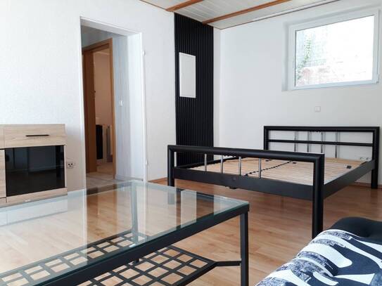 Lichtdurchflutetes Apartment mit Einbauküche, Freisitz, eig. Eingang im beliebten Weinanbauort!