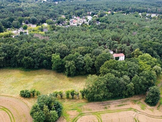 Waldgrundstücke - nahe an Wohnsiedlung im Berliner Speckgürtel