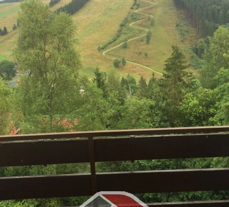 geräumige 1,5 Zimmerwohnung mit Balkon