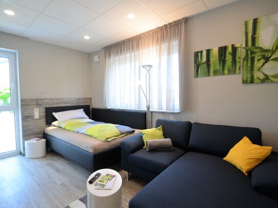 Schönes 1-Zimmer-Apartment modern & bequem, voll ausgestattet in Marktheidenfeld