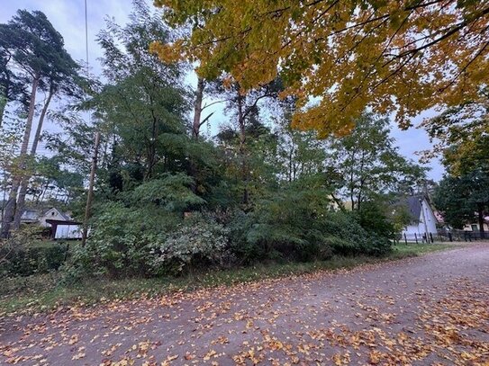 Traumhaftes Baugrundstück, naturbelassen in ruhiger Lage von Rehfelde!