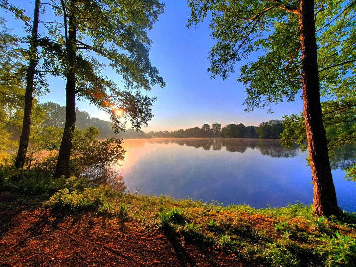 Real Estate Title Image Background