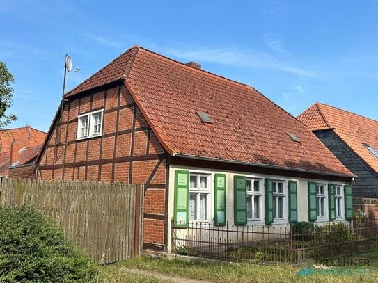 Idyllischer 3-Seitenhof direkt auf dem Elbdeich