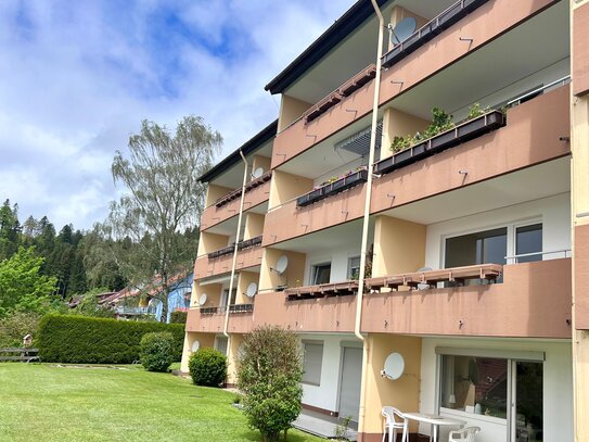 2-3 Zimmer Wohnung - neues Bad für 20 TE - mit großem Balkon und Garage mit Blick ins Grüne