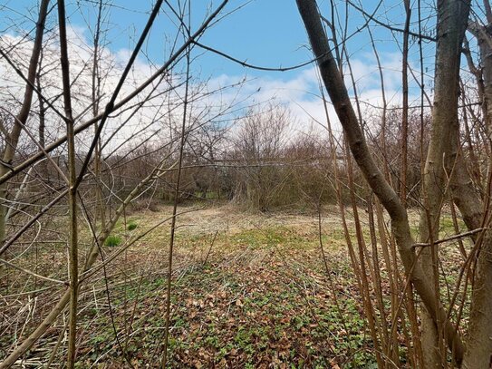 Bauerwartungsland in Furth im Wald zu verkaufen!