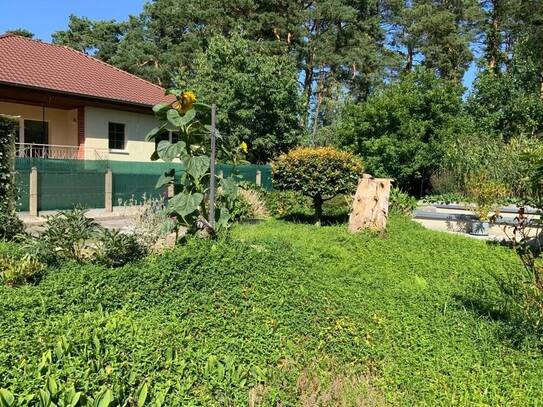 Einfamilienhaus mit schönem Garten am Wald in Walddrehna