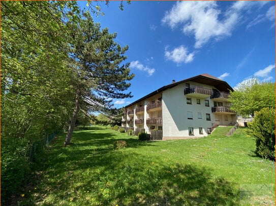 Wohnung mit Panoramadach in Höchenschwand