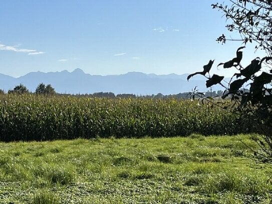 Süd-Garten - Bergblick - ruhige Siedlungslage