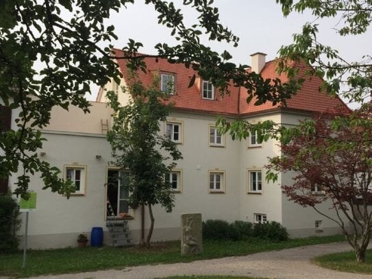 Schöne Altstadtwohnung mit Terrasse in MN für 1 oder 2 Personen