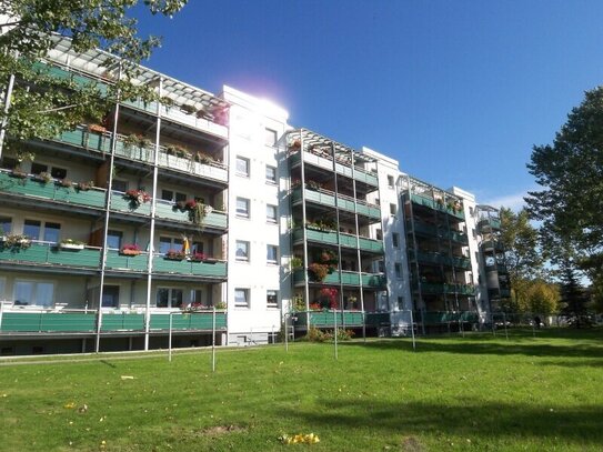 XXL-SÜDBALKON l STELLPLATZ l STEINWIESE