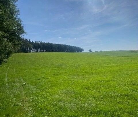 INTERESSANTE LANDWIRTSCHAFTS-/GRÜNFLÄCHE BEI KEMODEN / GEMEINDE 84186 VILSHEIM