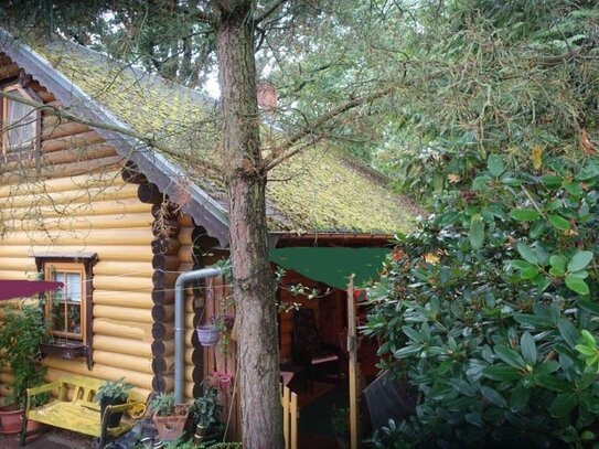 Komfortables Holzhaus am Waldrand zu verkaufen