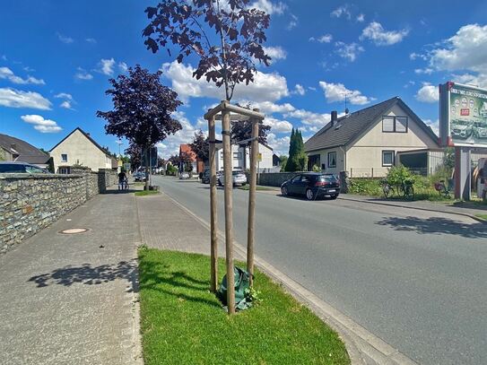 Immobilien-Richter: Baugrundstück für Mehr-Familienhaus in Erwitte