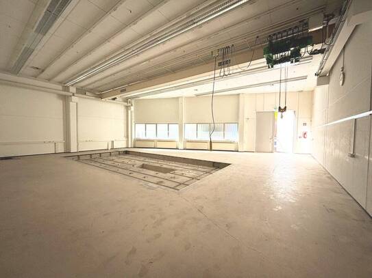 Halle / ehemaliges Modellbaustudio mit 5 t Kran