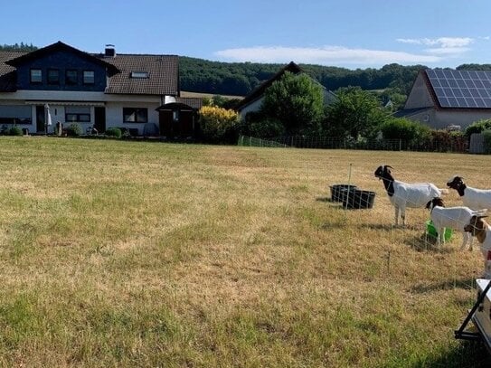 Bauen und Leben am Ortsrand im Schwälmer Land!