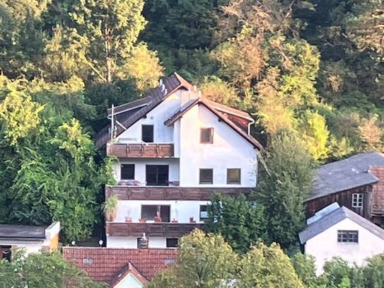 Geräumiges Haus mit Potential in naturnaher Lage