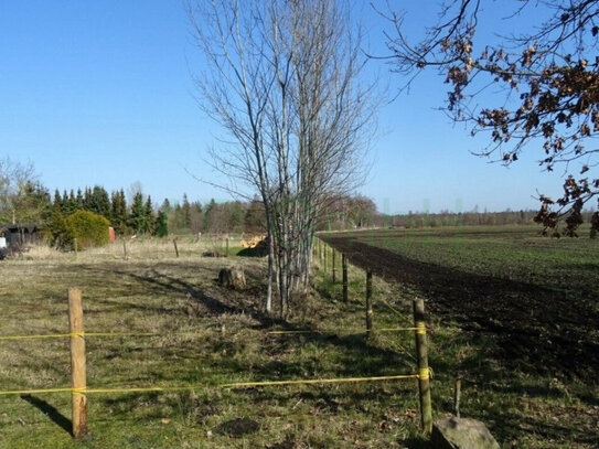 Baugrundstück mit Naturblick und hervorragender Infrastruktur