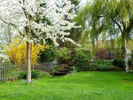 Sehr gepflegte, modernisierte, ruhige, helle DHH in Roth mit sonnigem Garten in Waldrandnähe