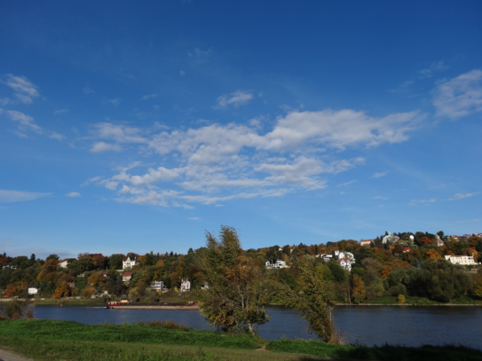 Gelegenheit: Wohn- und Seniorenanlage, ehem. Gutssitz (ca. 2.750 qm), mit Park (ca. 3 ha) bei Dresden in Sachsen