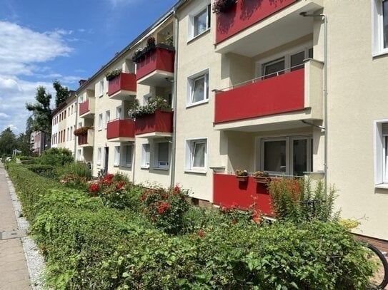 Bezugsfrei energieeffizent -4Zimmer in Tempelhof Fußbodenheizung