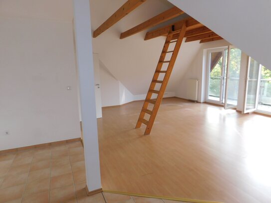 Große, lichtdurchflutete Ein-Zimmer-Wohnung inkl. Balkon mit Blick ins Grüne!