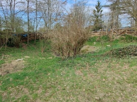 Nachhaltiges Biohotel als Jungbrunnen im Wendland