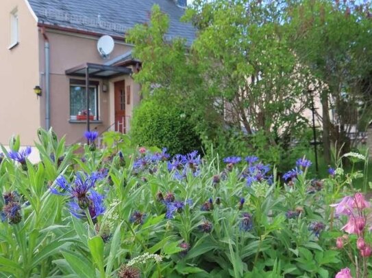 Reserviert - Gepflegtes Einfamilienwohnhaus in Triebeser Randlage mit Blick auf Wiesen und Felder zu verkaufen