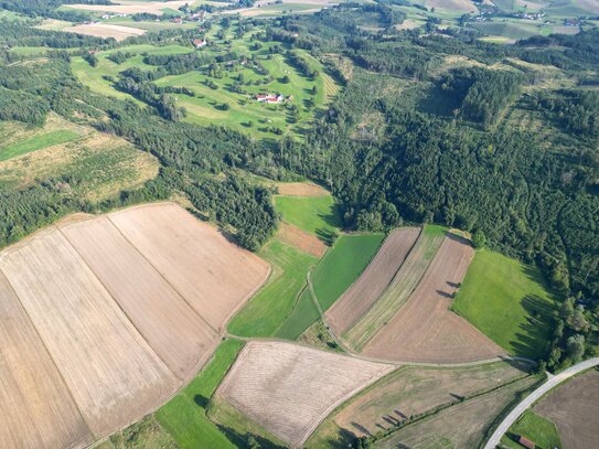 4,5 ha landw. Fläche/Acker in Uttlau mit sehr guter Bodenqualität