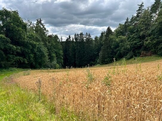 Rarität! Bauernhaus Top hergerichtet !Herrliche Alleinlage mit Kleintierhaltung