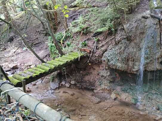 Baugrundstück: Sehr schönes Hanggrundstück - mit kleinem Bach und Zugang zu einer Wasserquellle