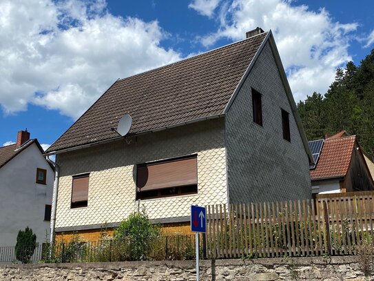 Einfamilienhaus mit großem Grundstück